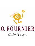 Bodegas y Vinedos O.Fournier
