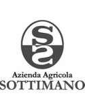 Sottimano