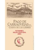 Bodegas Pago de Carraovejas