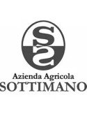 Sottimano